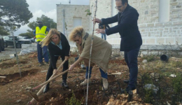 i-penteli-thorakismeni-ke-prasini