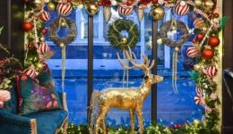 i-polites-ton-grevenon-anadiknioun