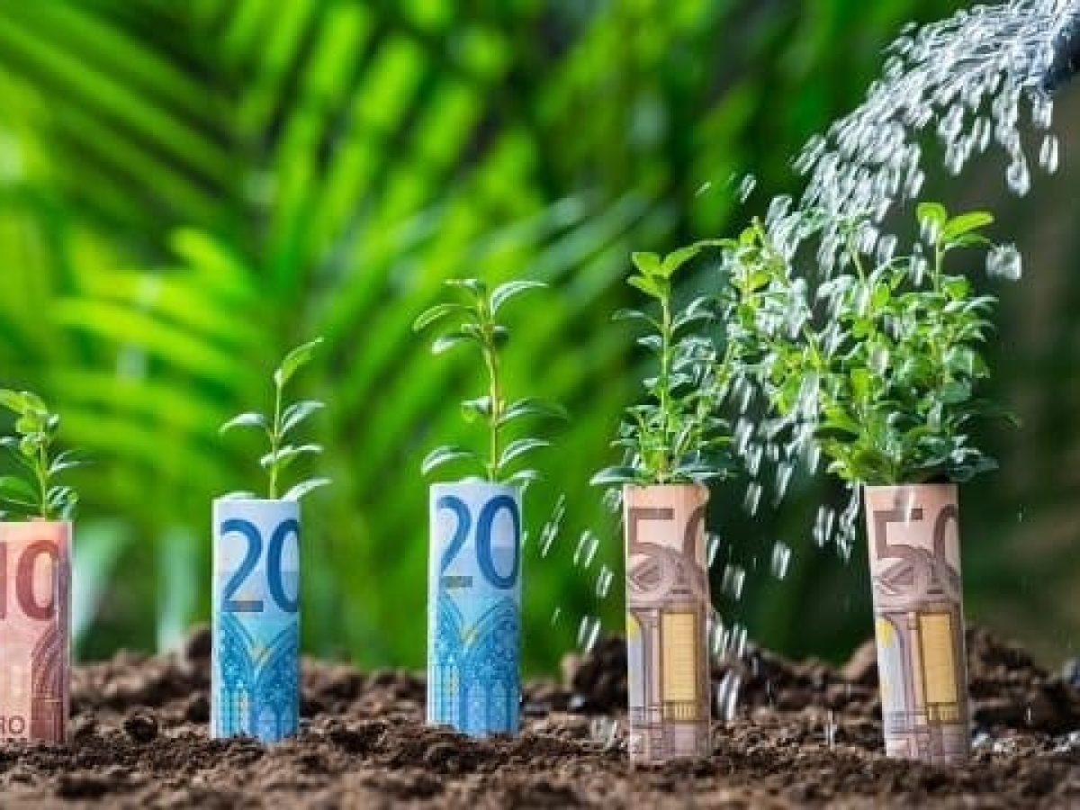 Η Βόρεια Ελλάδα στη νέα εποχή των εξαγωγών – Ποιοι κερδίζουν, ποιοι χάνουν και ποιες ευκαιρίες ανοίγονται 