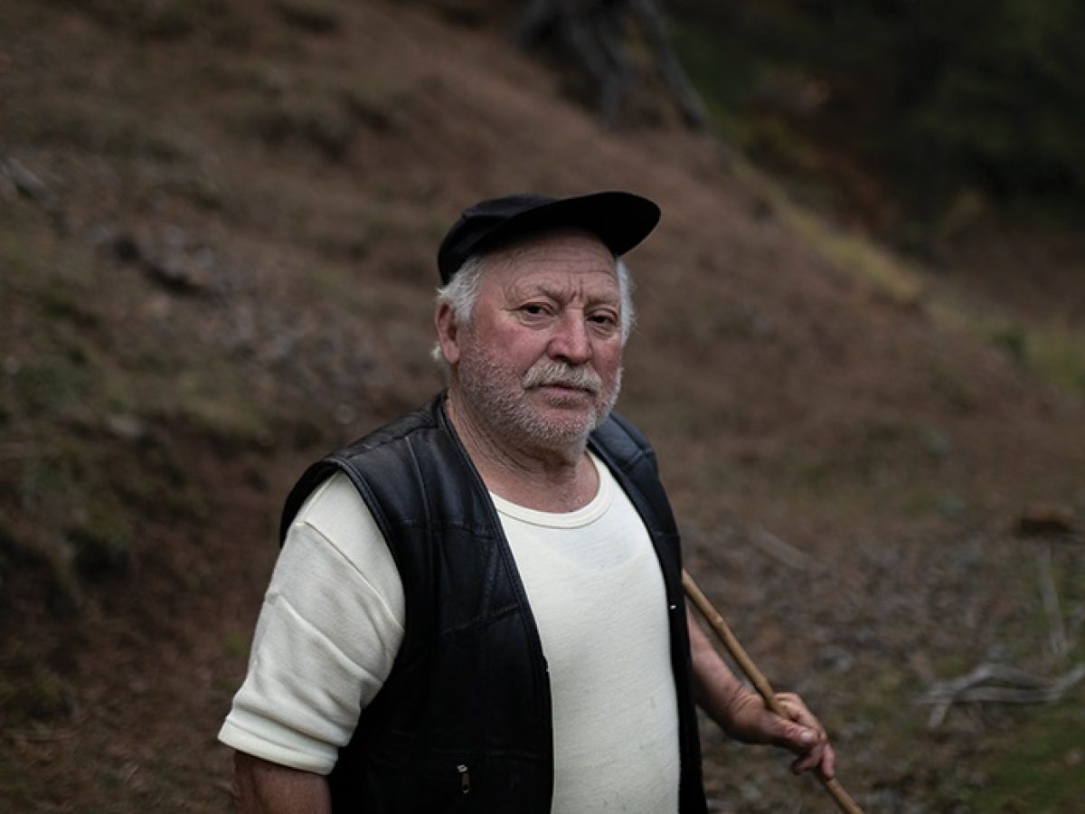 Οι βουνίσιοι θησαυροί της τυροκόμησης στο ετήσιο «διάβα» τους από τα ορεινά λιβάδια των βουνών στα χειμαδιά