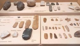 i-zoi-tou-anthropou-sti