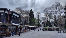 ipodochi-tou-2026-sto-metsovo