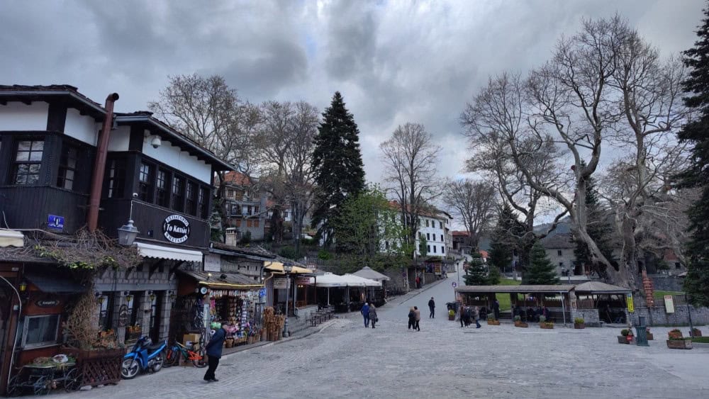 ipodochi-tou-2026-sto-metsovo