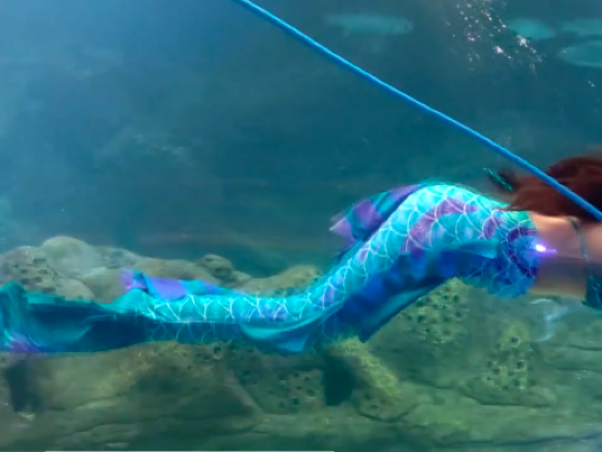 Ηράκλειο: Χριστούγεννα στον βυθό- Εντυπωσιακή κατάδυση του Αγίου Βασίλη στο Ενυδρείο Κρήτης