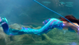 iraklio-christougenna-ston-vitho-entiposiaki