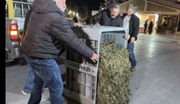 iraklio-simvoliki-diamartiria-agroton-sta-1