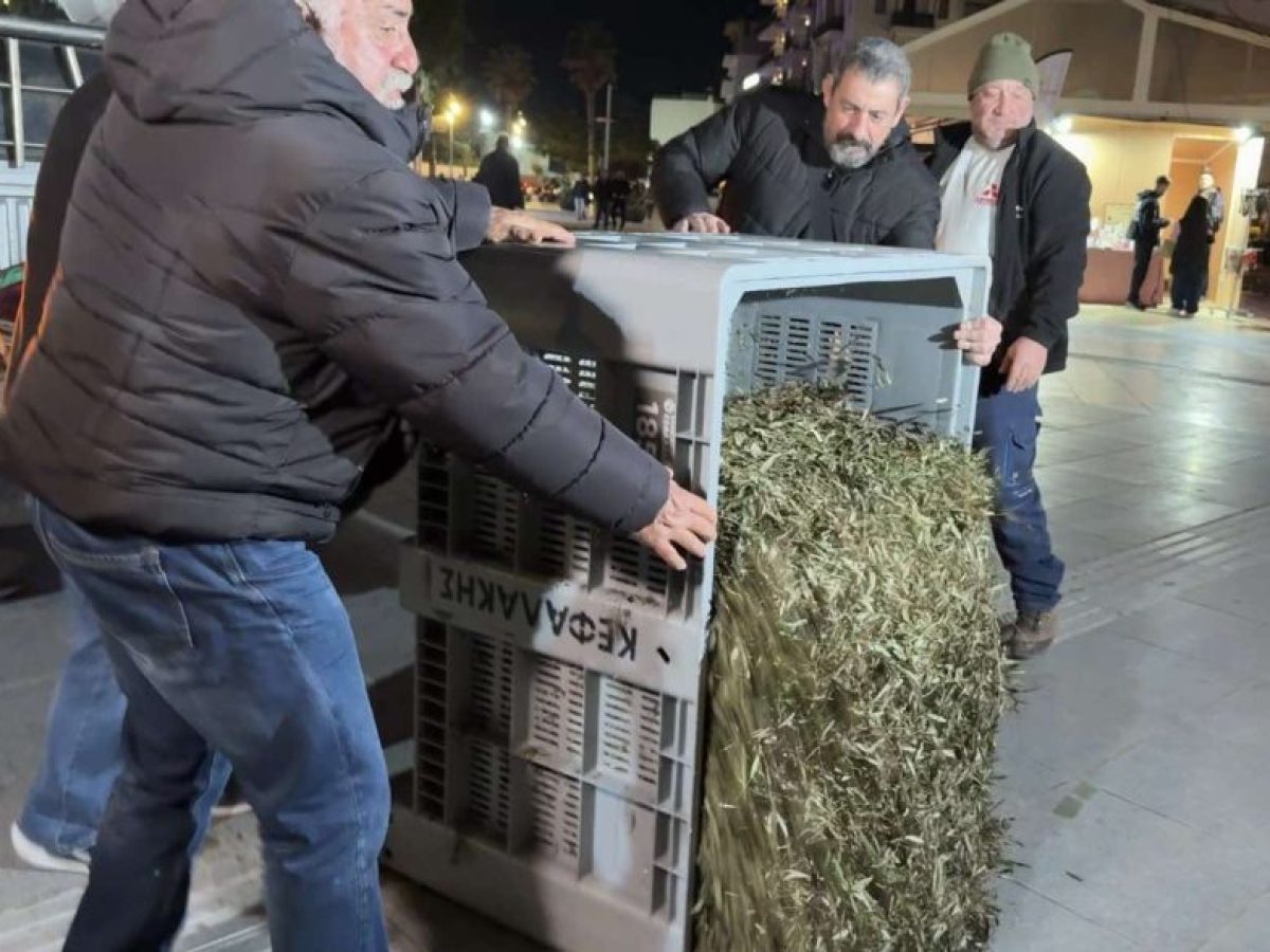 Ηράκλειο: Συμβολική διαμαρτυρία αγροτών στα γραφεία της Περιφέρειας – Έριξαν φύλλα ελιάς στην πλατεία