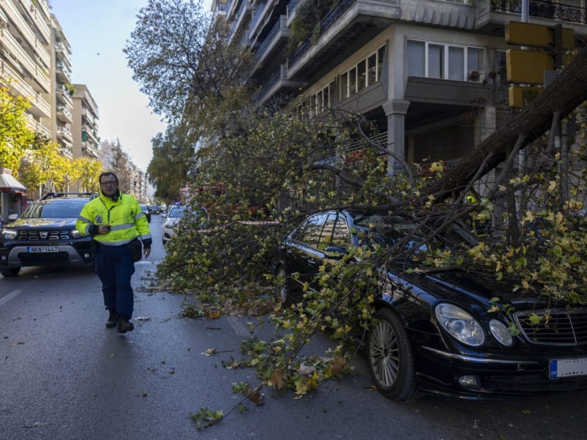 Ισχυροί άνεμοι στη Θεσσαλονίκη- Κλαδί δέντρου χτύπησε αυτοκίνητο εν κινήσει- Συστάσεις από την Πολιτική Προστασία
