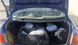 kastoria-exarthrothike-kikloma-diakinisis-narkotikon