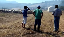 kathisterisis-stis-sfages-kopadion-me