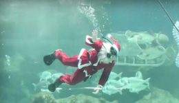 kriti-christougenna-ston-vitho-tou