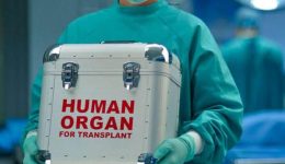 kriti-mia-genneodori-77chroni-pou