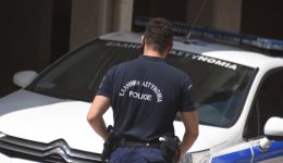 kriti-Άgnosti-petaxan-kokkini-bogia