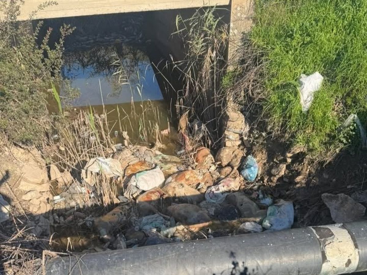 Λεσίνι Μεσολογγίου: Γέμισαν νεκρά πρόβατα οι αύλακες