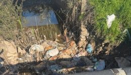 lesini-mesolongiou-gemisan-nekra-provata