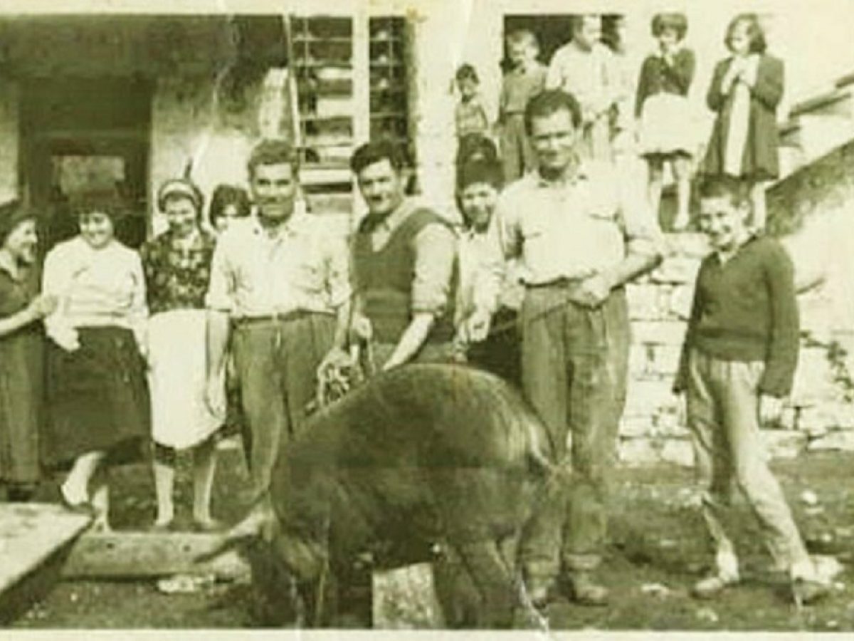 Λήμνος- Χοιροσφάγια, το έθιμο των Χριστουγέννων