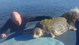 limnothalassa-i.p.-mesolongiou-–-etolikou