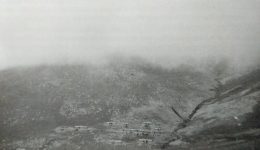 martiria-maroulas-fitopoulou-ta-vasana