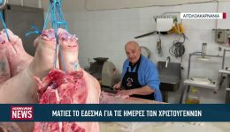 maties-to-edesma-gia-tis