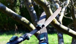 mesara-Αnevike-sti-mournia-ke