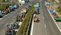 messinia-Αpofasismeni-i-agrotes-sto