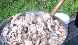 mia-diaforetiki-agrotiki-kinitopiisi-sto