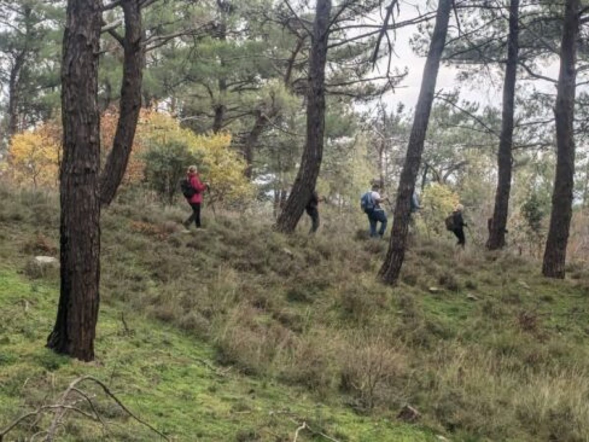 Μια όμορφη και τελευταία πεζοπορική διαδρομή για το 2025, από τον ΕΟΣ Κομοτηνής (φωτος)