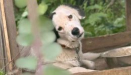 neotera-gia-dimotiko-katafigio-ntachaou