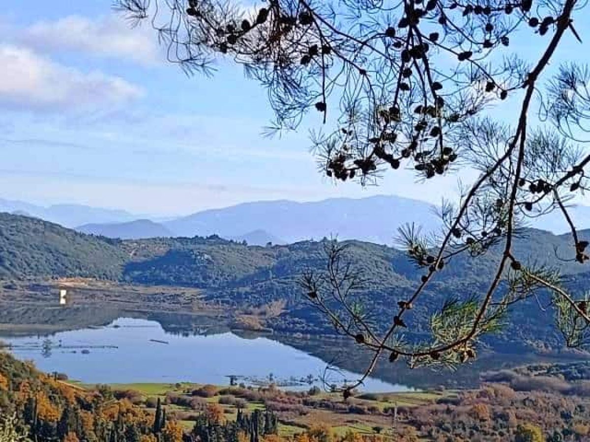 Ο κάμπος της Καρυάς