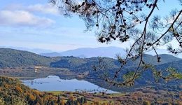 o-kampos-tis-karias