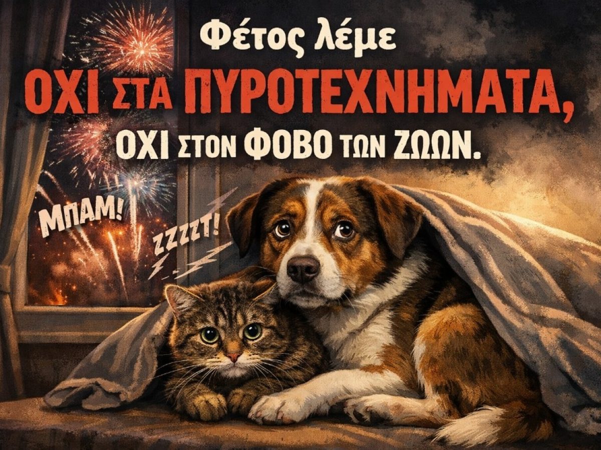 Όχι στα πυροτεχνήματα – Ναι στον σεβασμό της ζωή