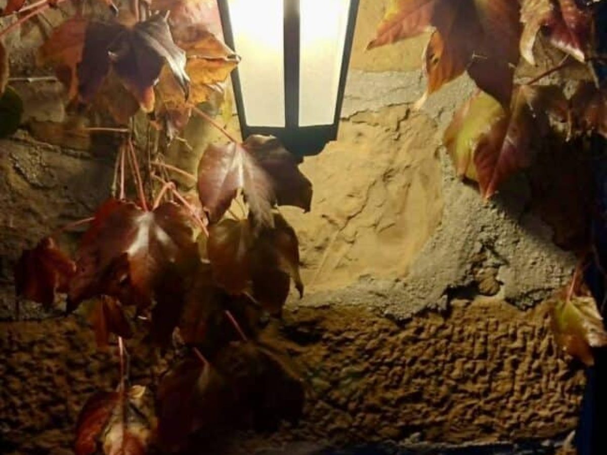 «Όνειρο χειμωνιάτικης νύχτας», γράφει η Σοφία Καρασούλη