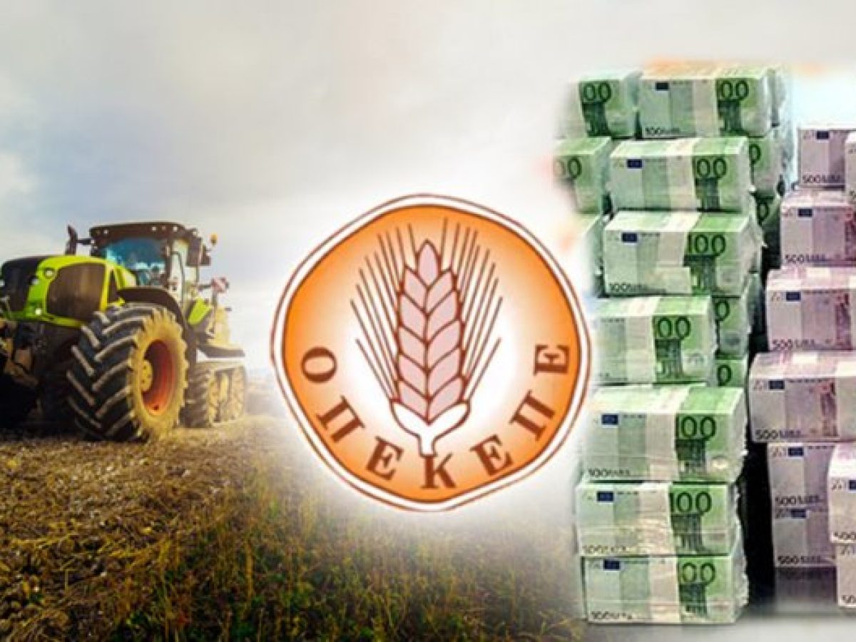 ΟΠΕΚΕΠΕ: Στο μικροσκόπιο της ΑΑΔΕ αγρότες από την Κρήτη – Στον εισαγγελέα μαζικές εγγραφές και διαγραφές αγρών στο Ε9