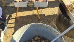 paleochori-chalkidikis-&Alpha;naviose-i-paradosiaki