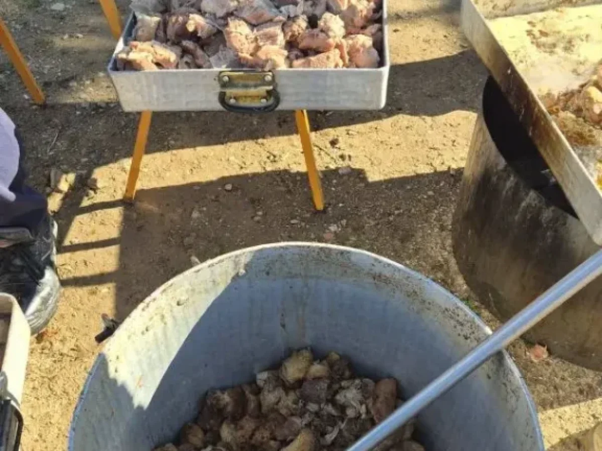 Παλαιοχώρι Χαλκιδικής: Αναβίωσε η Παραδοσιακή «Τσιγαριδογιορτή» στην Καρδιά του Χειμώνα