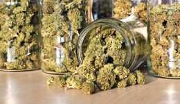 patra-chiropedes-se-mana-ke