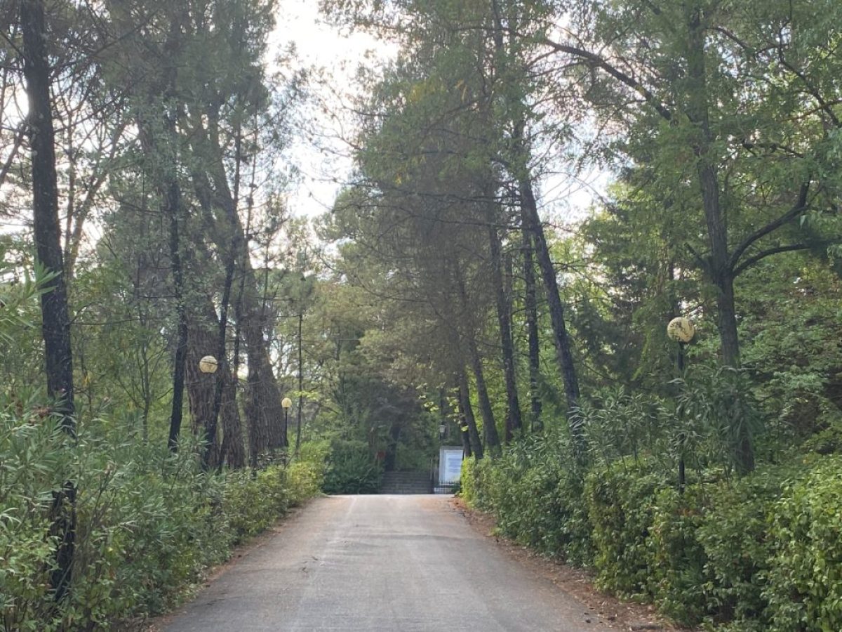 Περιμετρικές ζώνες πυροπροστασίας ολοκλήρωσε ο δήμος Μεγαλόπολης