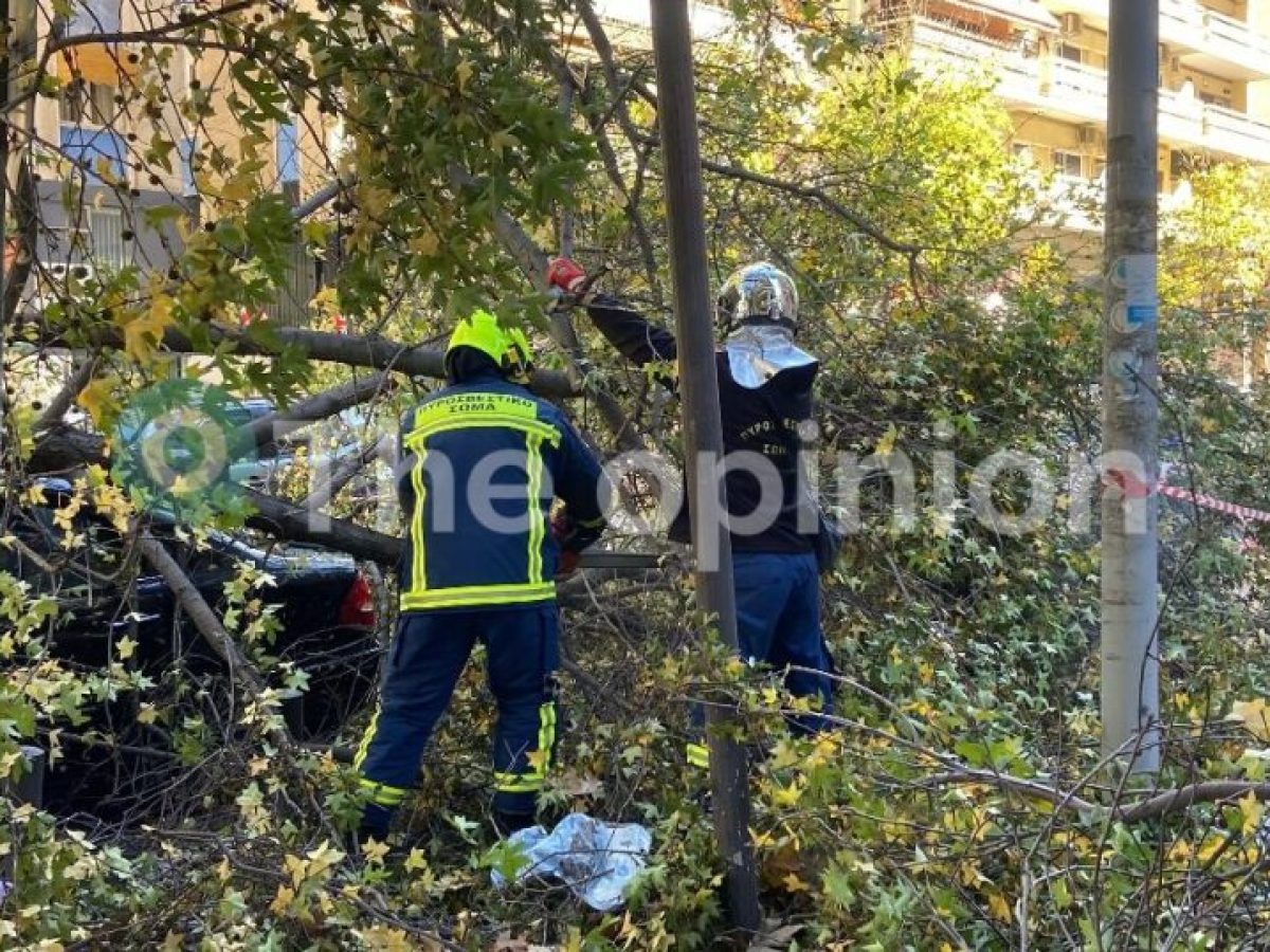 Πυλαία: Συνεργεία του Δήμου αποκατέστησαν πάνω από 50 περιπτώσεις πεσμένων δέντρων