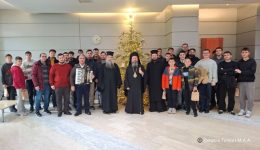 pimantikes-episkepsis-tou-mitropoliti-damaskinou-1