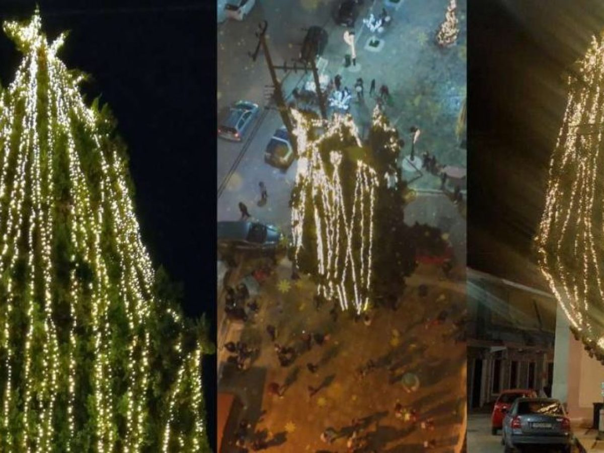 Πού βρίσκεται το πιο ψηλό φυσικό Χριστουγεννιάτικο δέντρο της Αργολίδας, ποιος το πλήρωσε και γιατί τον… έγραψαν!