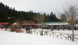 prasino-fos-gia-to-chionodromiko