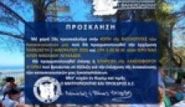 prosklisi-stin-kopi-tis-vasilopitas-2