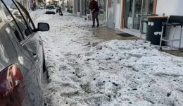 protofanis-chalazoptosi-sti-lero-animera