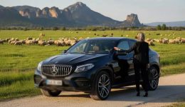 salos-me-tin-chrisi-agrotissa