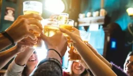 servire-alkool-se-anilikous-ke-1