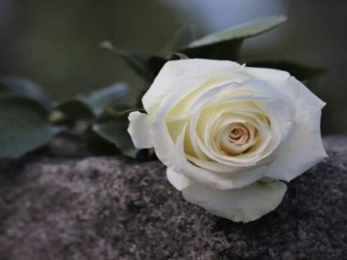 Συλλυπητήρια του Δημάρχου Θέρμου για την απώλεια της Άννας Ψαλλίδα