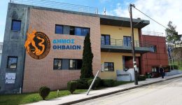 simmetochi-tou-dimou-thiveon-stis