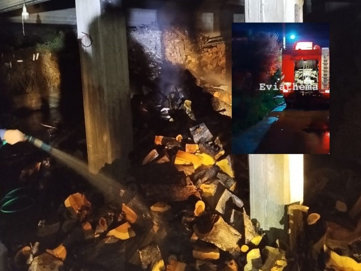 Συναγερμός στην Ερέτρια: Φωτιά σε πυλωτή σπιτιού στο Γυμνό – Άμεση επέμβαση της Πυροσβεστικής