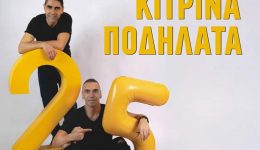 sinavlia-me-ta-kitrina-podilata