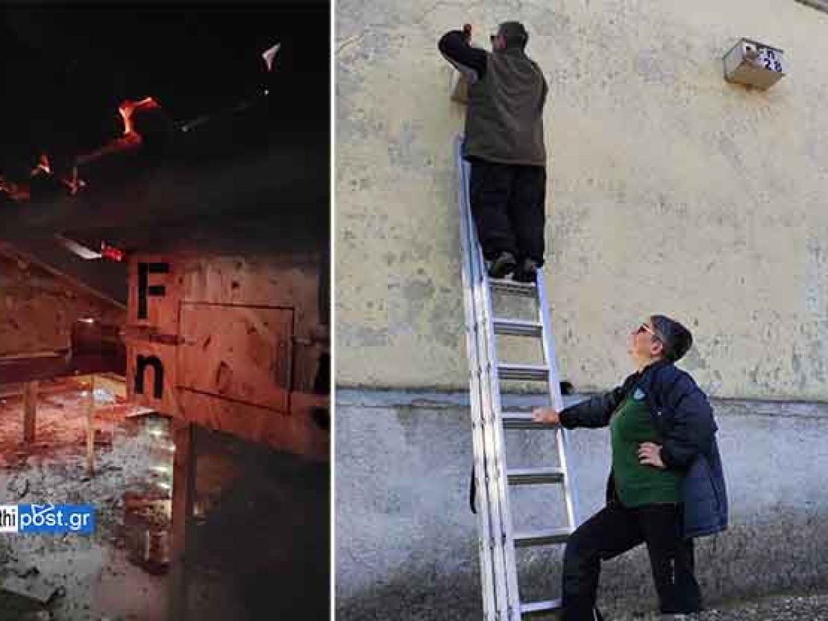 Συντήρηση τεχνητών φωλιών Κιρκινέζιων στο Εθνικό Πάρκο ΑΜΘ